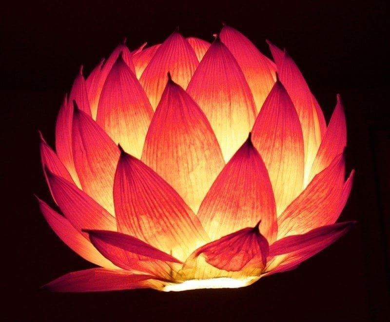 DIY: Lotus and Paper lanterns - Art & Craft Ideas