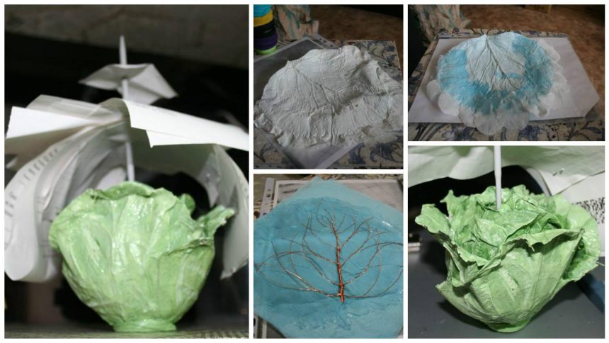 cabbage leaf organizer 1