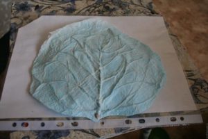 cabbage leaf organizer 13