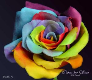 rose of all colors 15