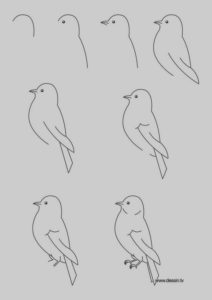 Easy Step by Step Art Drawings to Practice 6