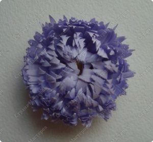 ASTERS QUILLING 15
