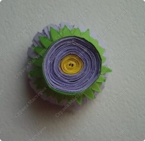 ASTERS QUILLING 17
