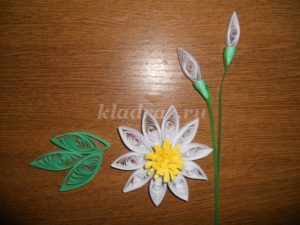 Daffodils from quilling technique 11