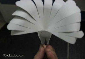 White doves paper 10