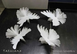 White doves paper 17